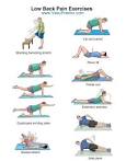 <b>Lower Back Pain</b> Exercises