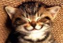 http://1.bp.blogspot.com/_tBjN9UDbGDU/TTlJffIMxiI/AAAAAAAAAdE/4ZsOdqXHZCU/s1600/smile.jpg