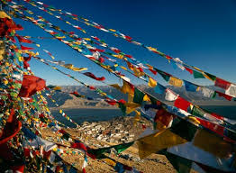 images?q=tbn:ANd9GcQkLita0R6KNt-t40eGWlLvSjzGr8p8_9tanJ7KdU-6qsNGOuE7&t=1