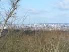 View from One Tree Hill - via Daymix