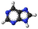 Purine — The Gout Killer - Bert Middleton