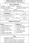 Improving the effectiveness of the emergency management of renal ...
