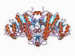 of <b>alkaline phosphatase</b>.