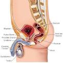 What to Expect from a Male Hormone Replacement Therapy Program