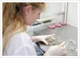 What is histotechnology?
