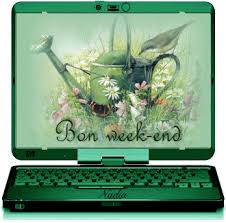 http://t1.gstatic.com/images?q=tbn:ANd9GcQkvaw1m8Ts3z0CDTimYs2Fbtw429CrayLoI_BdSYr6iyxFBmpTPw