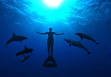 The Cove (film) - Wikipedia, the free encyclopedia