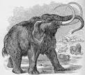 Woolly Mammoth - Mastodon - Crystalinks