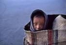 Steve McCurry