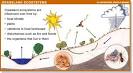 Grasslands Ecosystems
