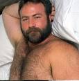 gay bear themed porn song.