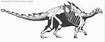 The Cladograms