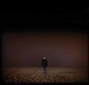 Arboreal | The Flashbulb