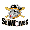 Erie SeaWolves, Erie Sea Wolves, Detroit Tigers