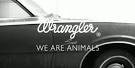 fashion campaign animals