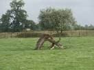 This willow tree is showing great survival instinct despite a rotten trunk. - via Daymix