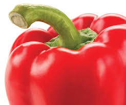  How to locate Hydroponic Supplies
