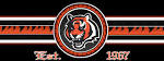 Cincinnati bengals full facebook timeline cover « Digital Citizen