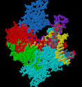 <b>RNA Polymerase</b> Identifies and
