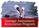 NOAA Photo Library - Restoration Center - DARP
