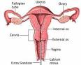 ozonlu zeytinyağı,ozon,ozon tedavisi,ozon terapi,doktor ozon,ayak ...