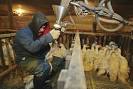 FOIE GRAS: Too High a Price? - Advocacy For Animals