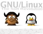 Gnu - Linux - GnuTuxSoftRevolution-v1- GNU/Linux User Group