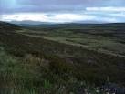my feet aren't happy feet, and my camera is struggling to cope with the - via Daymix