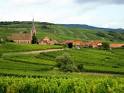 TLC Cooking "Ultimate Guide to the Alsace Wine Region"