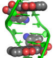 <b>Doxorubicin</b> is known to