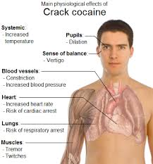 Physiological effects of Crack cocaine 279x300 Cocaine 