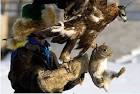 Falcon Hunt of Kazakhstan Nation | English Russia