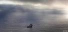 BBC News - MH370: Malaysia committed to search, says PM