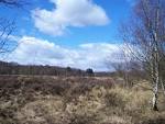 File:Heathland I.jpg - Wikipedia, the free encyclopedia