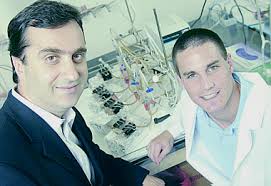 Konstantinos Konstantopoulos, associate professor of chemical and biomolecular engineering, supervises doctoral student Zachary Healy in experiments that ... - 10phyto