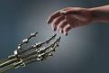 robot-human-hands.jpg?1366717357