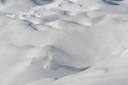 3 dead in Wash. avalanche were expert skiers - Worldnews.