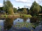 TQ3583 : Mile End Ecology Park - via Daymix