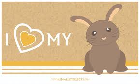 Buy timothy hay and get a free \u0026#39;I Love My Rabbit\u0026#39; sticker! | House ... - Rabbit-Sticker-3