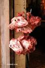 Lebanon Photos - Lebanese Food Photos