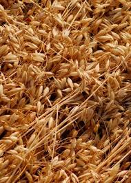 Oat flour, partially debranned