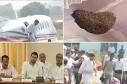 After Mayawati, preps against bees for Rahul