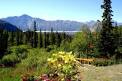 Tundra Rose Guest Cottages and