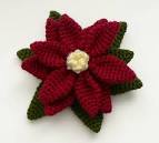 PlanetJune by June Gilbank » Poinsettia
