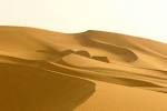 The Sahara Solar Breeder Project | Electric Tree House