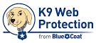 headtechnology RU :: Blue Coat Introduces Free, Family-Safe Web ...