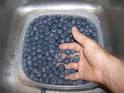 How to make blueberry pie filling (directions, recipe, with photos ...