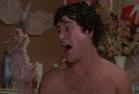 An American Werewolf in London