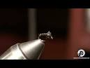  Fly Tying The Zebra Midge