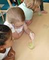 Science Club   Marbled Eggs